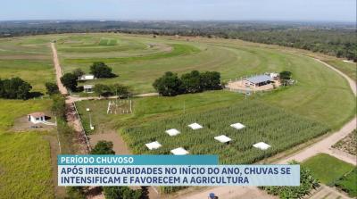 Após irregularidades no início do ano, chuvas se intensificam e favorecem a agricultura