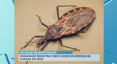 Maranhão registra cinco casos de doença de Chagas em 2026 e acende alerta da saúde