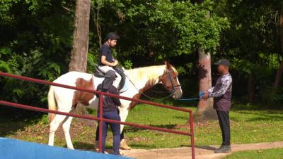 Equoterapia: atividade desenvolvida pela PM tem 4 mil atendimentos em 21 anos