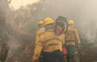 Governo do Maranhão estabelece período de proibição do uso do fogo em áreas rurais