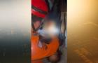 Confusão durante festejo de São Marçal termina com homem esfaqueado em São Luís