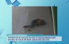 Homem em situação de rua é morto a facadas em Bom Jesus das Selvas