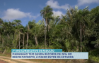 Maranhão registra queda de 26% no desmatamento da Amazônia