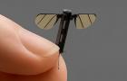 Novo drone espião da China para missões secretas tem tamanho de um mosquito