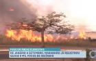 MA registrou mais de 7.600 focos de incêndio de janeiro a setembro deste ano