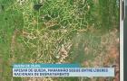 Desmatamento no Brasil cai 20,6% e fica abaixo de um milhão de hectares pela primeira vez desde 2019