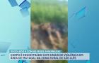 Homem é encontrado morto com sinais de extrema violência em área de mata na zona rural de São Luís