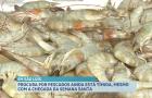 Procura por pescados ainda é baixa em São Luís, mesmo com a proximidade da Semana Santa