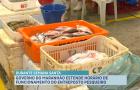 Semana Santa impulsiona vendas de pescados e altera funcionamento de entreposto em São Luís