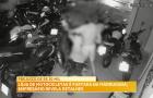 Loja de motocicleta é furtada durante a madrugada e empresário revela detalhes