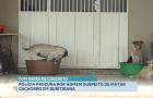 Polícia procura por homem suspeito de matar cachorro a golpes de concreto no interior do Maranhão