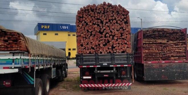 PRF: operação apreende mais de 300 m³ de madeira ilegal no Maranhão