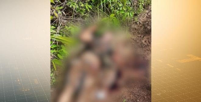 Corpo com marcas de facadas é encontrado em estrada rural em Viana 